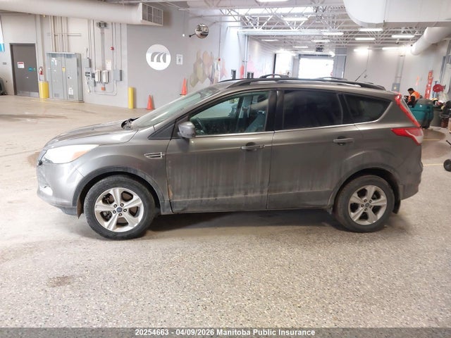 Продажа на аукционе авто 2014 Ford Escape Se, vin: 1FMCU9GX4EUA72260, номер лота: 20254663