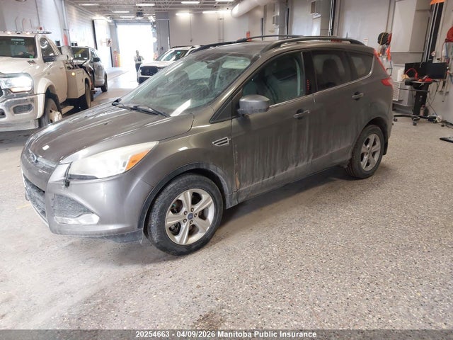 Продажа на аукционе авто 2014 Ford Escape Se, vin: 1FMCU9GX4EUA72260, номер лота: 20254663