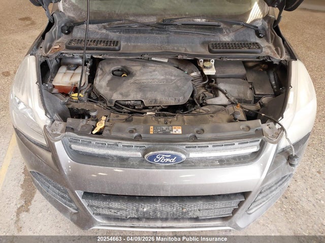 Продажа на аукционе авто 2014 Ford Escape Se, vin: 1FMCU9GX4EUA72260, номер лота: 20254663
