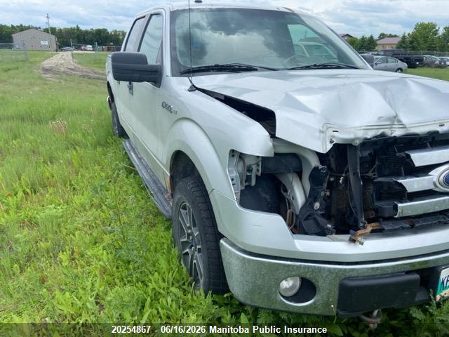 Продажа на аукционе авто 2010 Ford F150 Xlt Supercrew, vin: 1FTEW1E82AFA73104, номер лота: 20254867