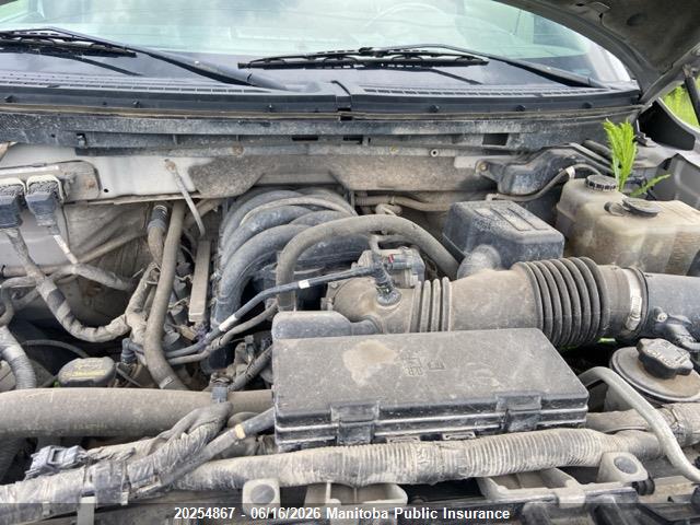Продаж на аукціоні авто 2010 Ford F150 Xlt Supercrew, vin: 1FTEW1E82AFA73104, номер лоту: 20254867