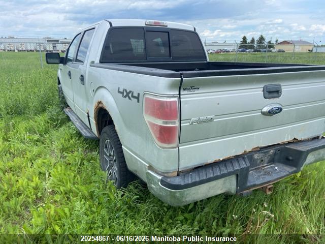 Продаж на аукціоні авто 2010 Ford F150 Xlt Supercrew, vin: 1FTEW1E82AFA73104, номер лоту: 20254867