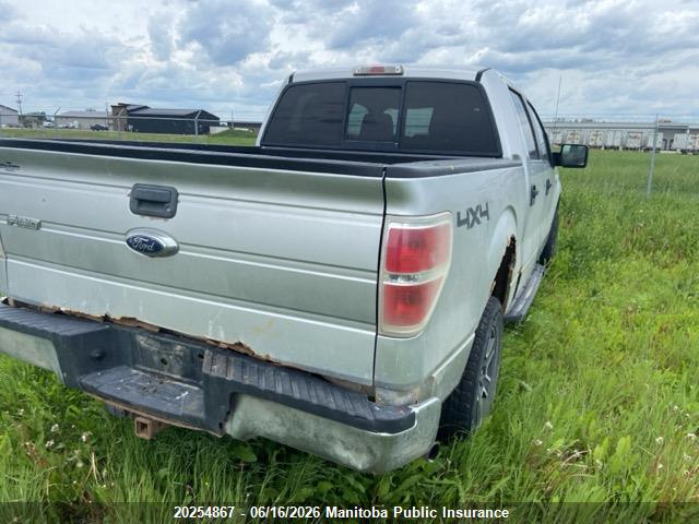 Продаж на аукціоні авто 2010 Ford F150 Xlt Supercrew, vin: 1FTEW1E82AFA73104, номер лоту: 20254867