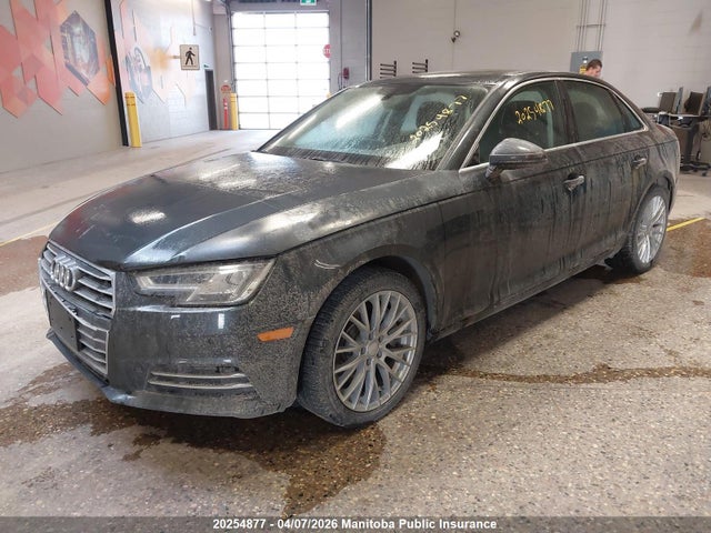 WAUCNAF44HN003557 Audi A4 2.0t Quattro