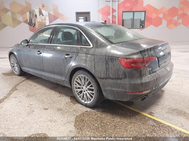 WAUCNAF44HN003557 Audi A4 2.0t Quattro