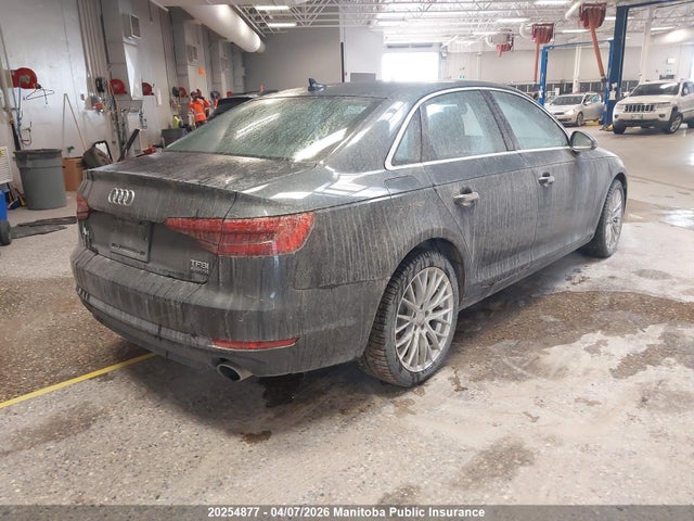 WAUCNAF44HN003557 Audi A4 2.0t Quattro