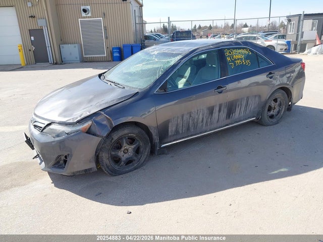 4T1BF1FK6EU395335 Toyota CAMRY LE