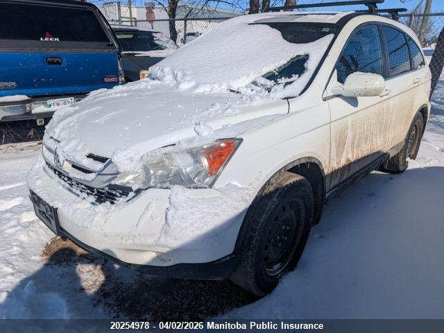 Aukcja sprzedaży 2011 Honda Cr-v Ex-l, vin: 5J6RE4H76BL812321, numer aukcji: 20254978