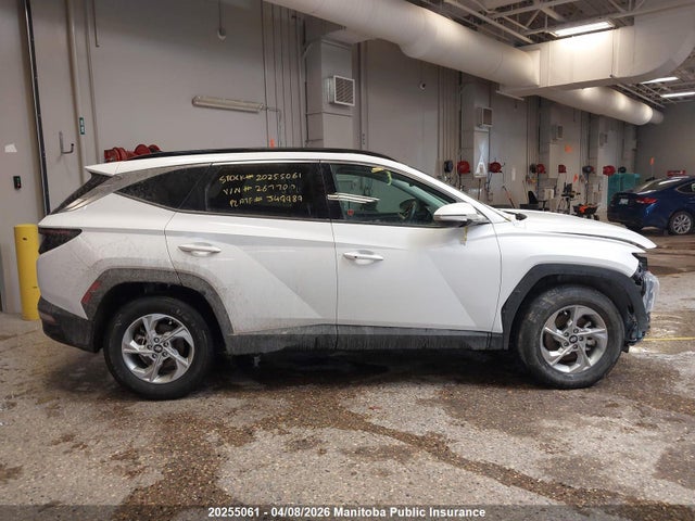 2024 Hyundai Tucson Trend მანქანა იყიდება აუქციონზე, vin: KM8JCCDE6RU267700, აუქციონის ნომერი: 20255061