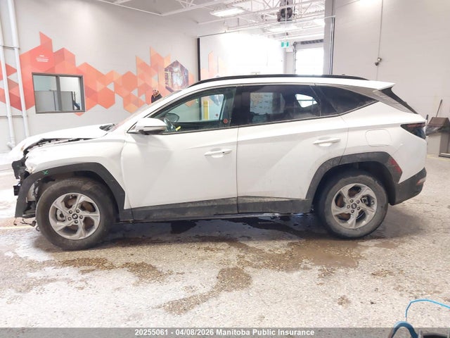 2024 Hyundai Tucson Trend მანქანა იყიდება აუქციონზე, vin: KM8JCCDE6RU267700, აუქციონის ნომერი: 20255061
