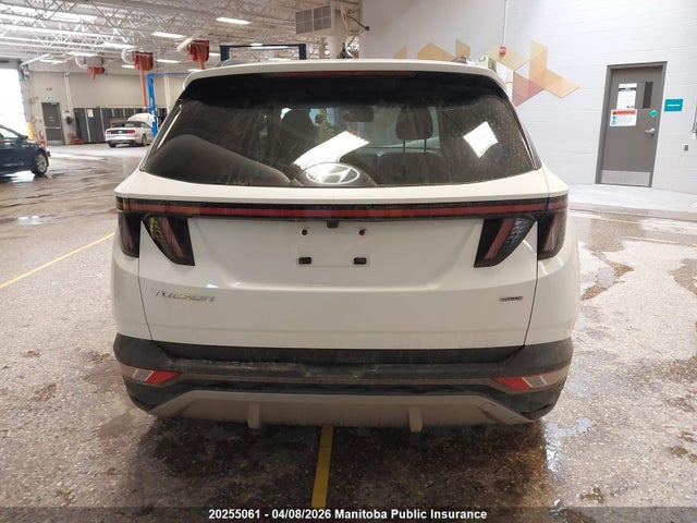 2024 Hyundai Tucson Trend მანქანა იყიდება აუქციონზე, vin: KM8JCCDE6RU267700, აუქციონის ნომერი: 20255061