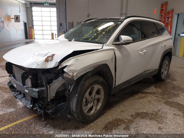 2024 Hyundai Tucson Trend მანქანა იყიდება აუქციონზე, vin: KM8JCCDE6RU267700, აუქციონის ნომერი: 20255061
