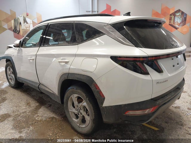 2024 Hyundai Tucson Trend მანქანა იყიდება აუქციონზე, vin: KM8JCCDE6RU267700, აუქციონის ნომერი: 20255061