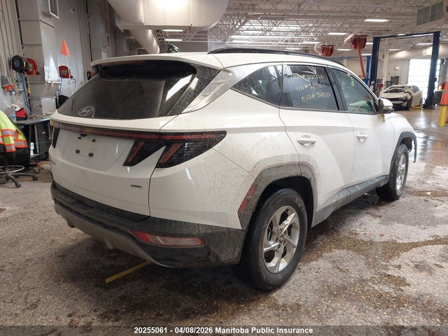 2024 Hyundai Tucson Trend მანქანა იყიდება აუქციონზე, vin: KM8JCCDE6RU267700, აუქციონის ნომერი: 20255061