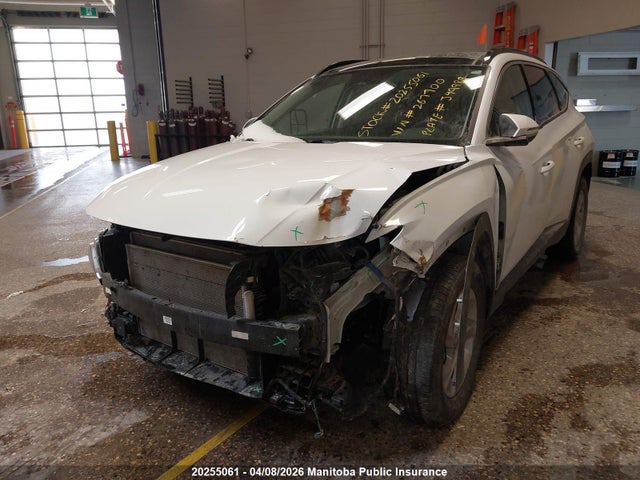 2024 Hyundai Tucson Trend მანქანა იყიდება აუქციონზე, vin: KM8JCCDE6RU267700, აუქციონის ნომერი: 20255061