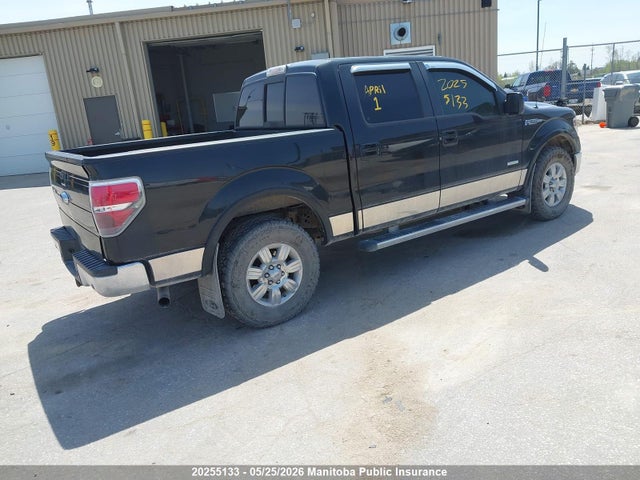 20255133 :رقم المزاد ، 1FTFW1ET7DFD13969 vin ، 2013 Ford F-series مزاد بيع