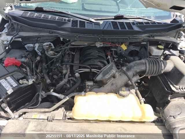 Ford F150 Xlt Supercrew 2021 1FTFW1E51MKE20265 Image 10