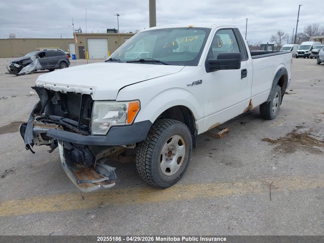 2009 Ford F150 Xl Pickup მანქანა იყიდება აუქციონზე, vin: 1FTRF12W09KB57087, აუქციონის ნომერი: 20255186