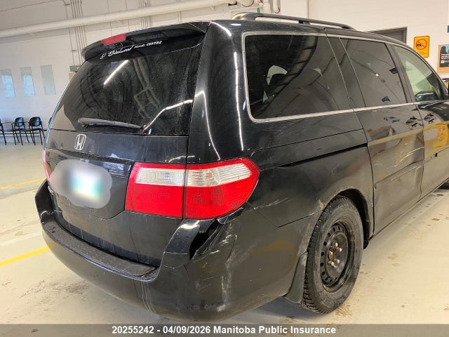 20255242 :رقم المزاد ، 5FNRL38657B504726 vin ، 2007 Honda Odyssey Ex مزاد بيع