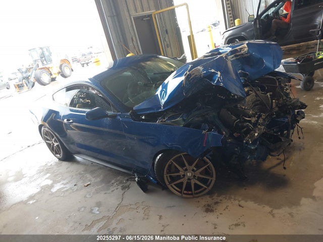 Ford Mustang 2017 1FA6P8AM0H5299225 Image 13