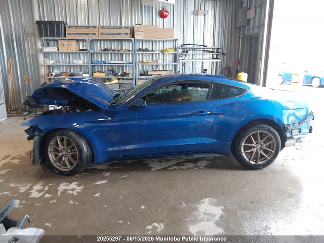 Ford Mustang 2017 1FA6P8AM0H5299225 Image 14