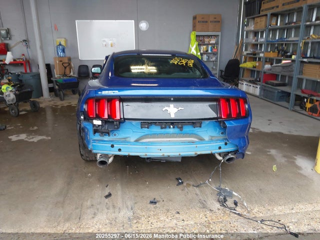 Ford Mustang 2017 1FA6P8AM0H5299225 Image 16
