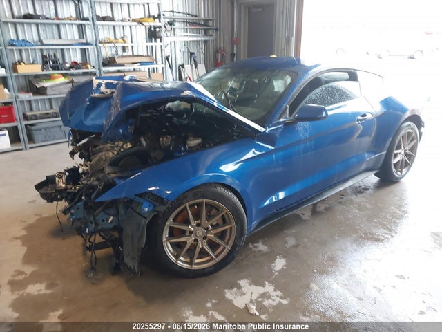 Ford Mustang 2017 1FA6P8AM0H5299225 Image 2