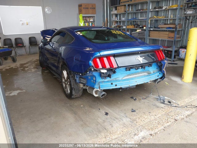 Ford Mustang 2017 1FA6P8AM0H5299225 Image 3