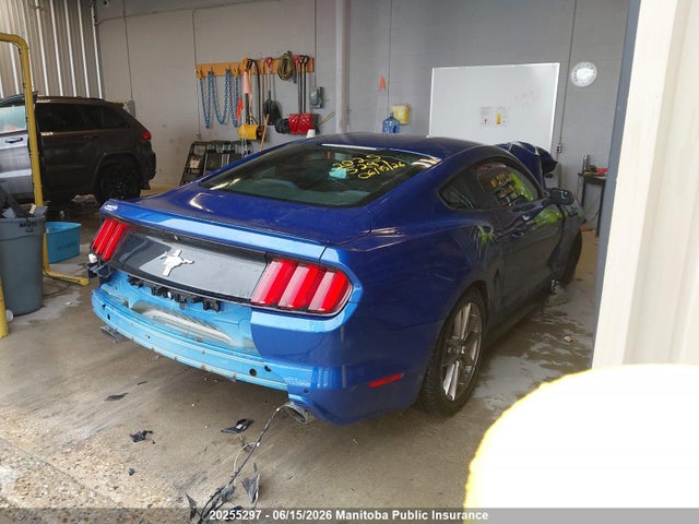 Ford Mustang 2017 1FA6P8AM0H5299225 Image 4