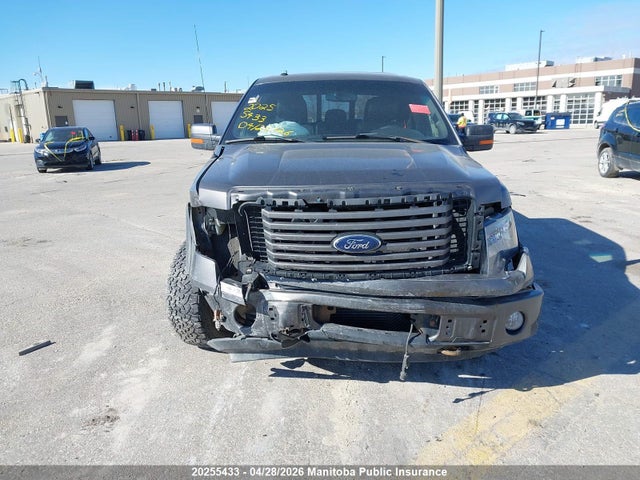 20255433 :رقم المزاد ، 1FTFW1ET6BFA89638 vin ، 2011 Ford F150 Xlt Supercrew مزاد بيع