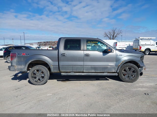 20255433 :رقم المزاد ، 1FTFW1ET6BFA89638 vin ، 2011 Ford F150 Xlt Supercrew مزاد بيع