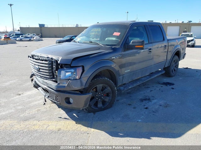 20255433 :رقم المزاد ، 1FTFW1ET6BFA89638 vin ، 2011 Ford F150 Xlt Supercrew مزاد بيع