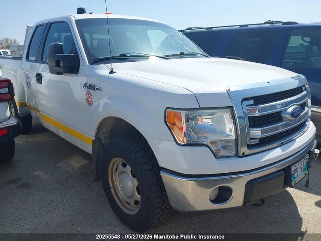 Продажа на аукционе авто 2013 Ford F150 Super Cab, vin: 1FTFX1EF6DKE19800, номер лота: 20255548