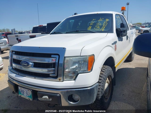 Продажа на аукционе авто 2013 Ford F150 Super Cab, vin: 1FTFX1EF6DKE19800, номер лота: 20255548