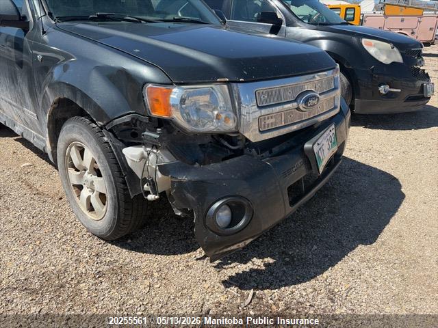 Продажа на аукционе авто 2008 Ford Escape Xlt V6, vin: 1FMCU94178KA11310, номер лота: 20255561