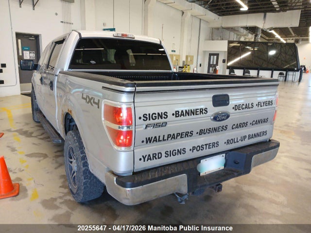 20255647 :رقم المزاد ، 1FTFW1ET1DFC82900 vin ، 2013 Ford F150 Xlt Supercrew مزاد بيع