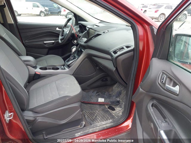 2014 Ford Escape Se მანქანა იყიდება აუქციონზე, vin: 1FMCU0GX1EUA41429, აუქციონის ნომერი: 20255729