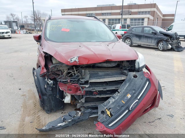 2014 Ford Escape Se მანქანა იყიდება აუქციონზე, vin: 1FMCU0GX1EUA41429, აუქციონის ნომერი: 20255729