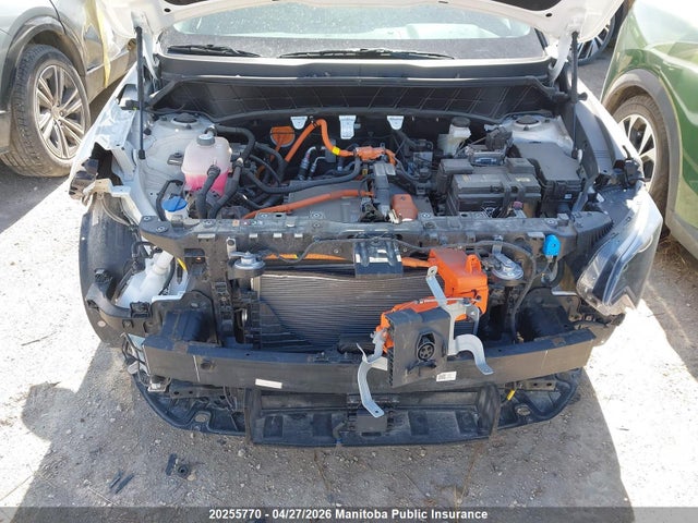 KNDCP3L10P5057391 KIA Niro Ev Premium