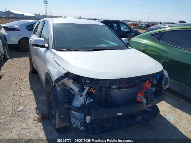 KNDCP3L10P5057391 KIA Niro Ev Premium
