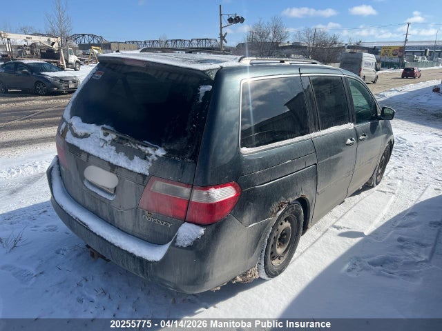 Aukcja sprzedaży 2005 Honda Odyssey Ex, vin: 5FNRL38495B510606, numer aukcji: 20255775