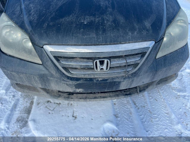 Aukcja sprzedaży 2005 Honda Odyssey Ex, vin: 5FNRL38495B510606, numer aukcji: 20255775