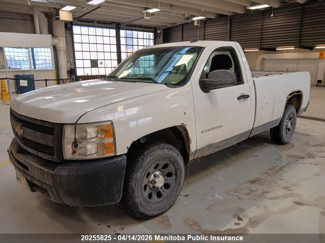 2011 Chevrolet Silverado 1500 Wt მანქანა იყიდება აუქციონზე, vin: 1GCNCPEX7BZ137978, აუქციონის ნომერი: 20255825