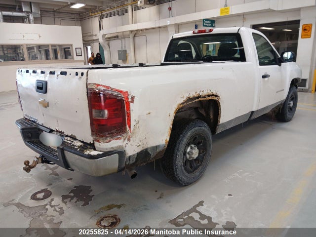 2011 Chevrolet Silverado 1500 Wt მანქანა იყიდება აუქციონზე, vin: 1GCNCPEX7BZ137978, აუქციონის ნომერი: 20255825