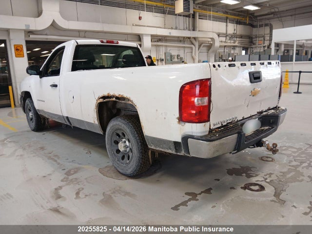 2011 Chevrolet Silverado 1500 Wt მანქანა იყიდება აუქციონზე, vin: 1GCNCPEX7BZ137978, აუქციონის ნომერი: 20255825