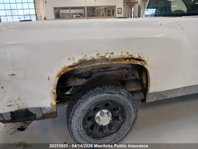 2011 Chevrolet Silverado 1500 Wt მანქანა იყიდება აუქციონზე, vin: 1GCNCPEX7BZ137978, აუქციონის ნომერი: 20255825