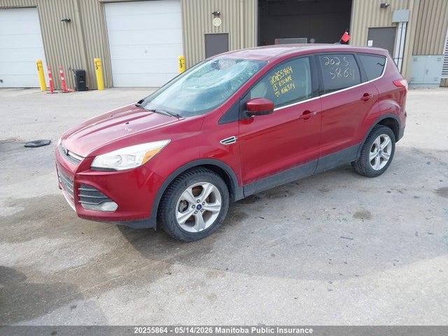 Продаж на аукціоні авто 2013 Ford Escape Se, vin: 1FMCU0GX2DUA36514, номер лоту: 20255864