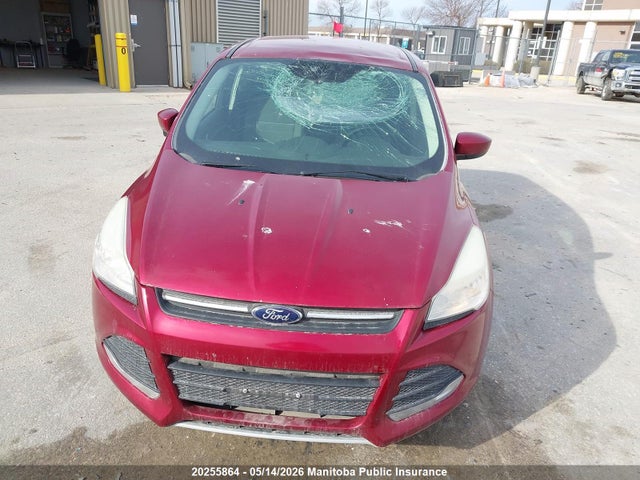 Продаж на аукціоні авто 2013 Ford Escape Se, vin: 1FMCU0GX2DUA36514, номер лоту: 20255864