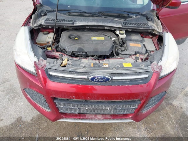 Продаж на аукціоні авто 2013 Ford Escape Se, vin: 1FMCU0GX2DUA36514, номер лоту: 20255864