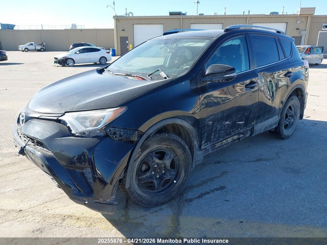20255876 :رقم المزاد ، 2T3BFREV3GW512132 vin ، 2016 Toyota Rav4 Le مزاد بيع